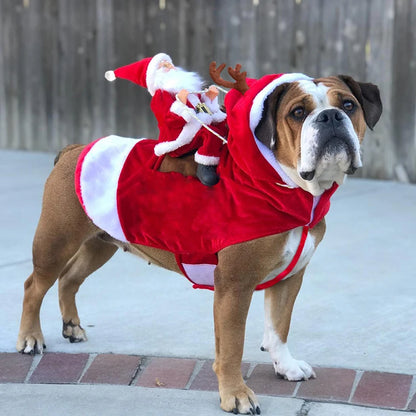 Santa Sleigh Dog Costume